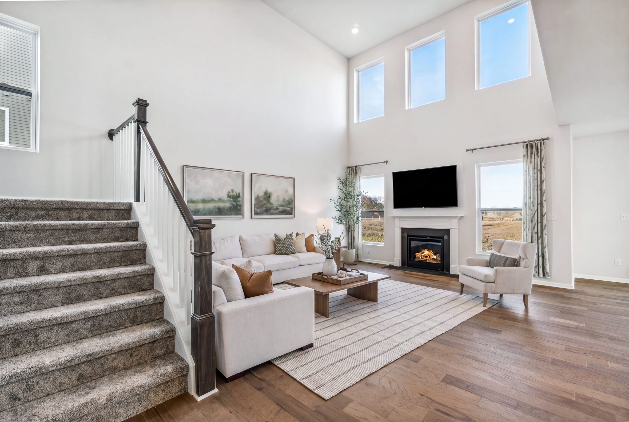 Aspen Plan- Virtually Staged - Representational Photo