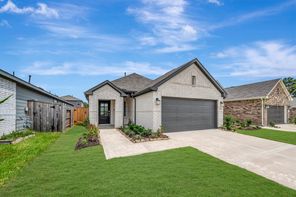 16831 Cockspur Hawthorn Lane (Azalea)