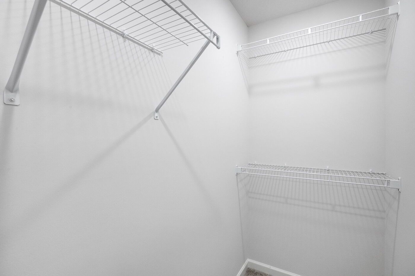 Owner's Closet