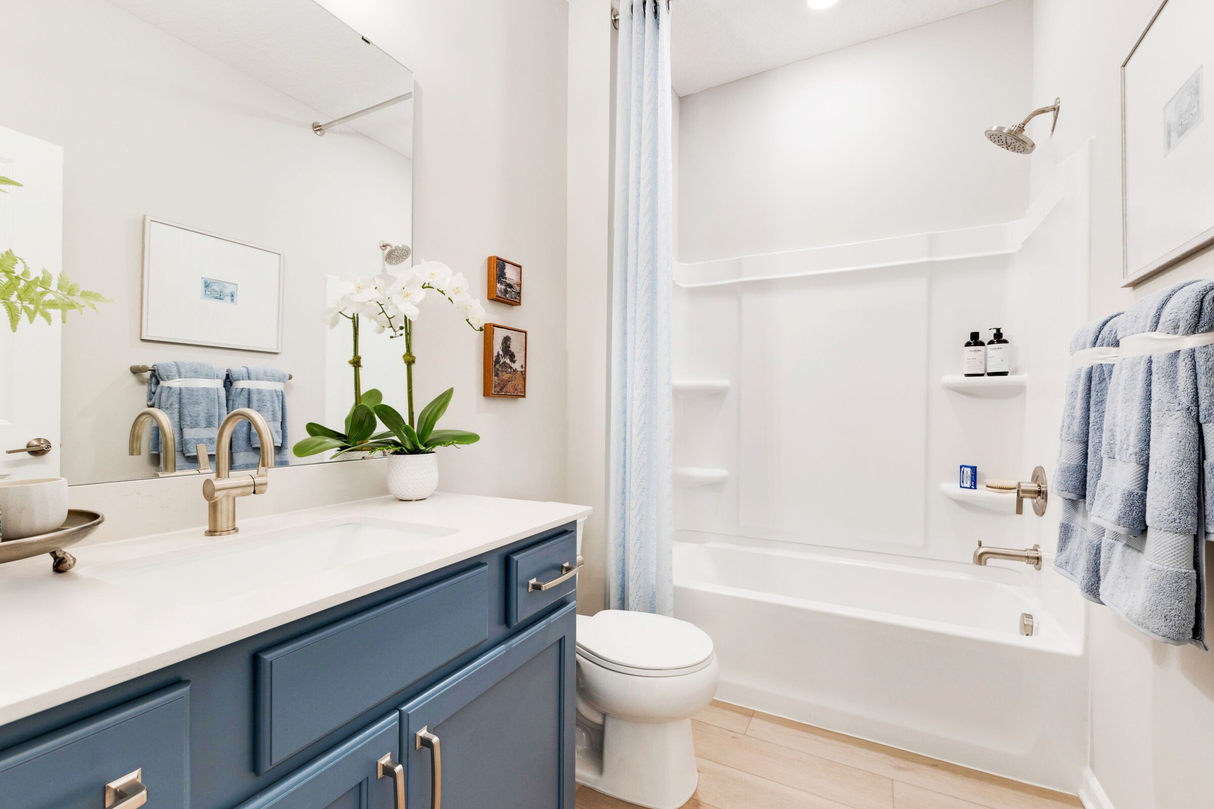 Owner's Bathroom