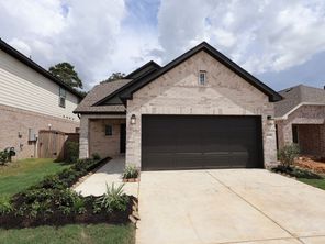 21218 Jacaranda Blossom Way (Rosemary)