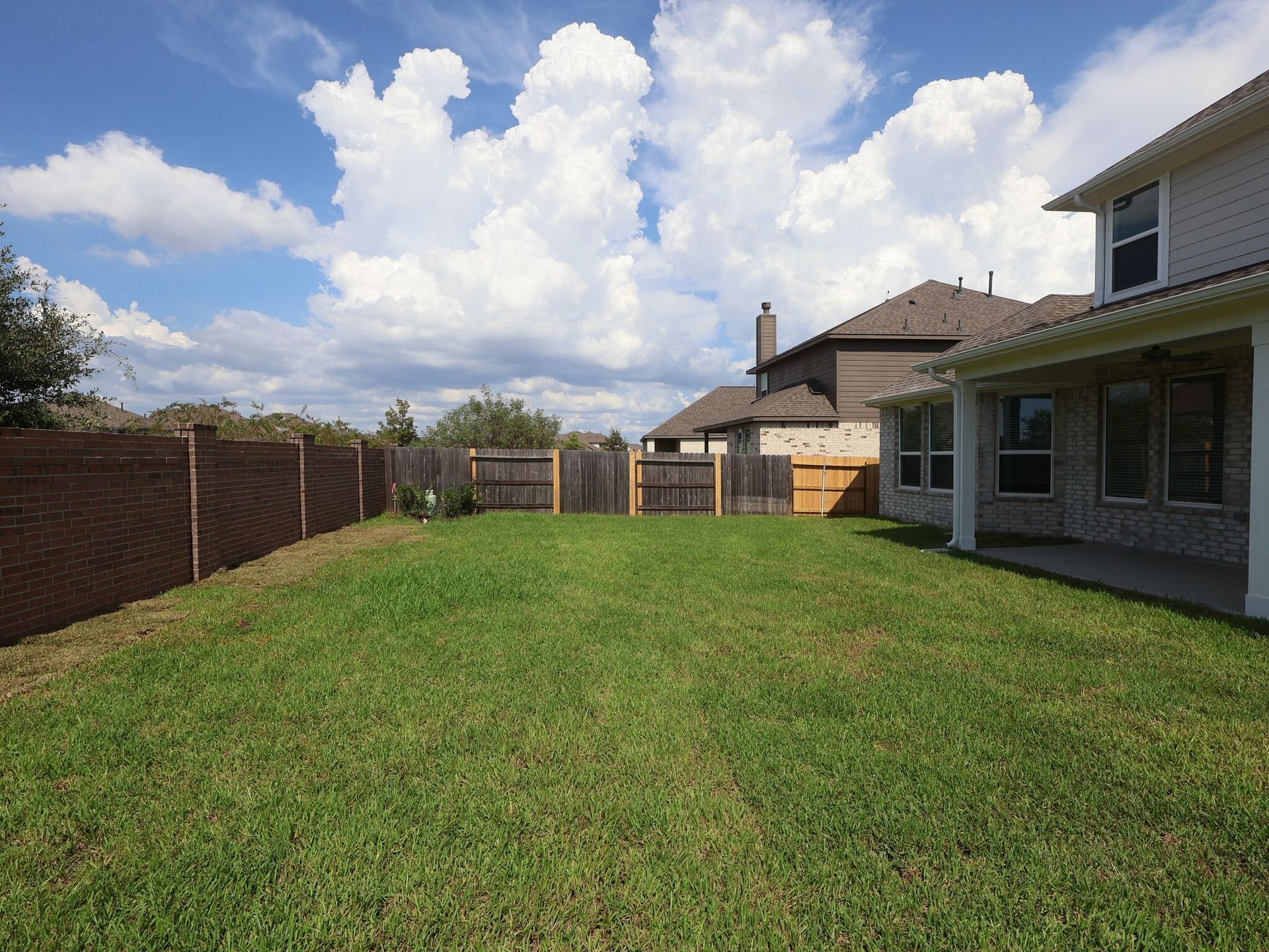 Backyard
