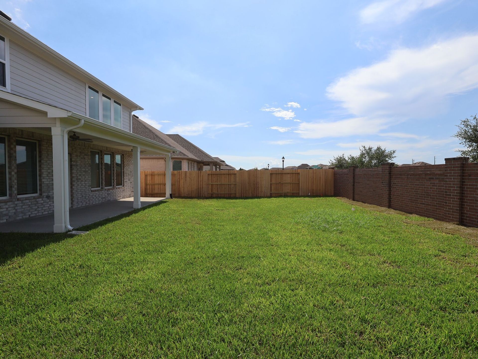 Backyard