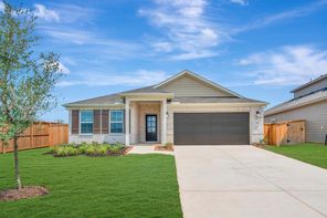 5803 Blazing Light Lane (Balboa)