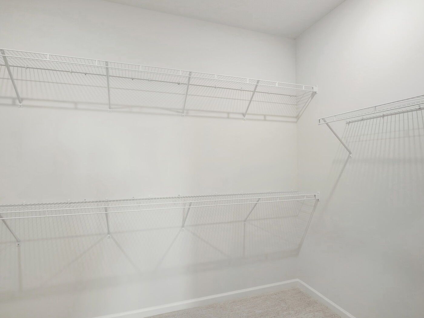 Owner's Closet