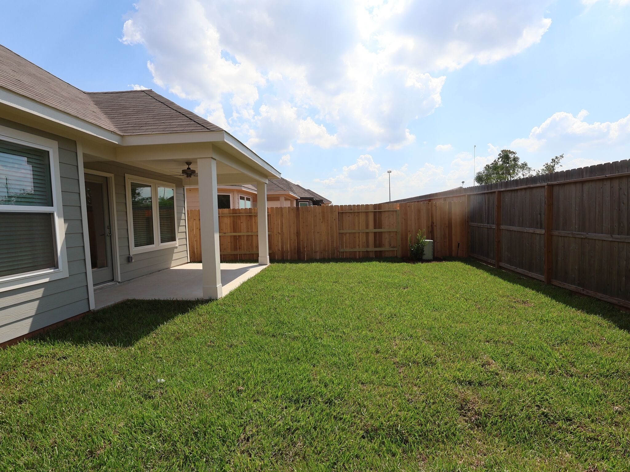 Backyard