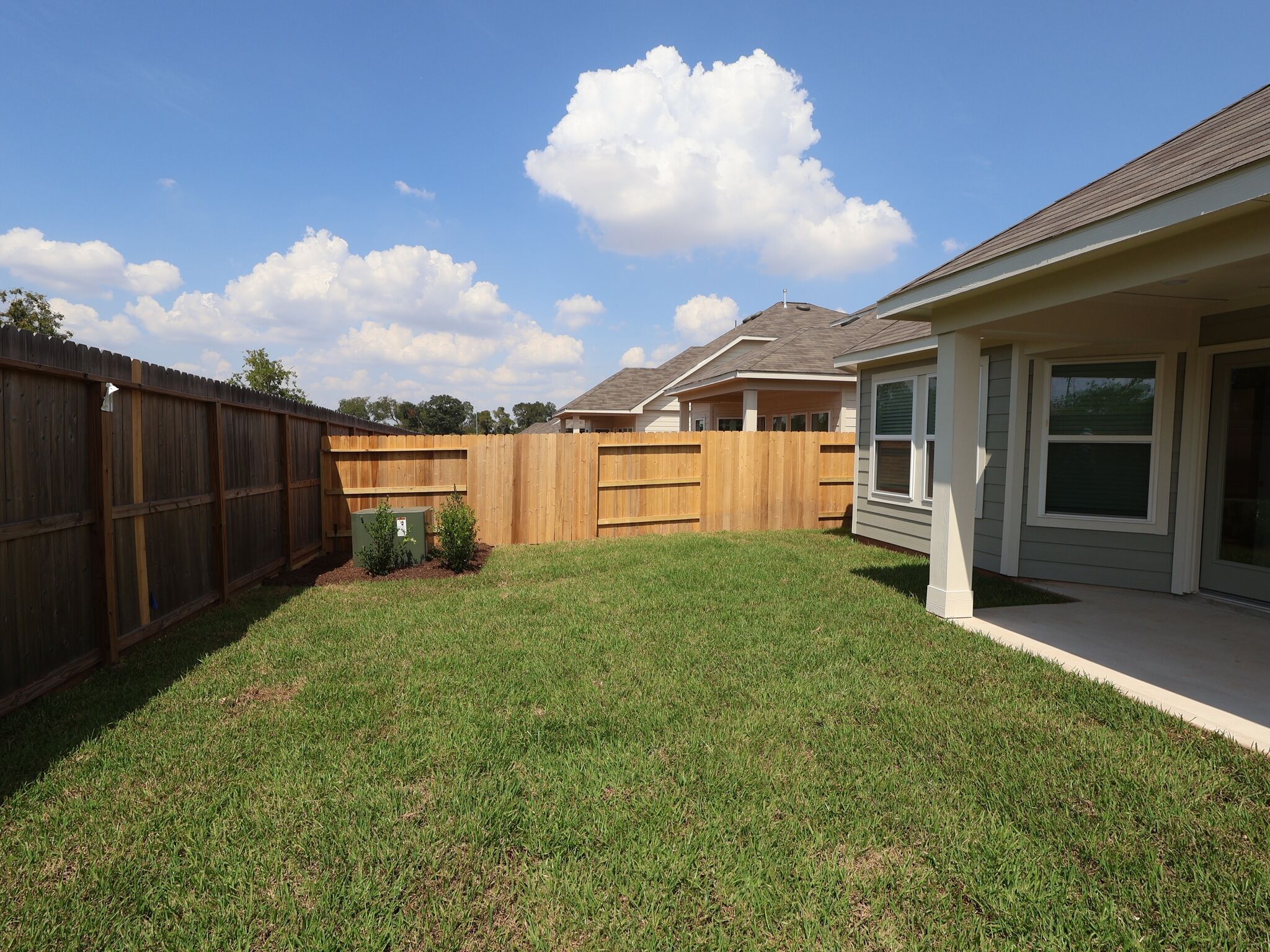 Backyard