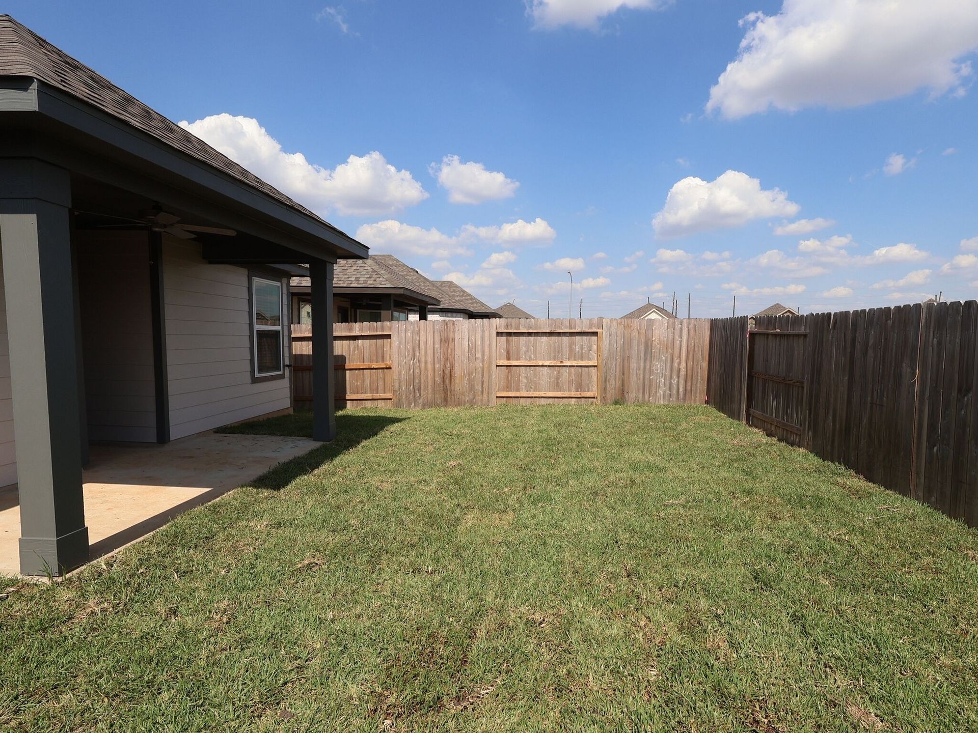 Backyard