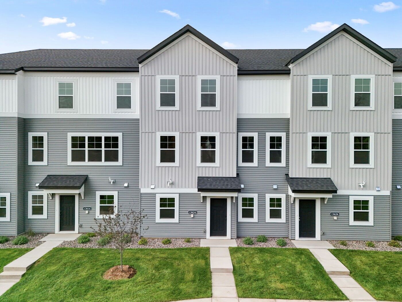Barcelona - Towns at Fox Creek: Rogers, Minnesota - M/I Homes