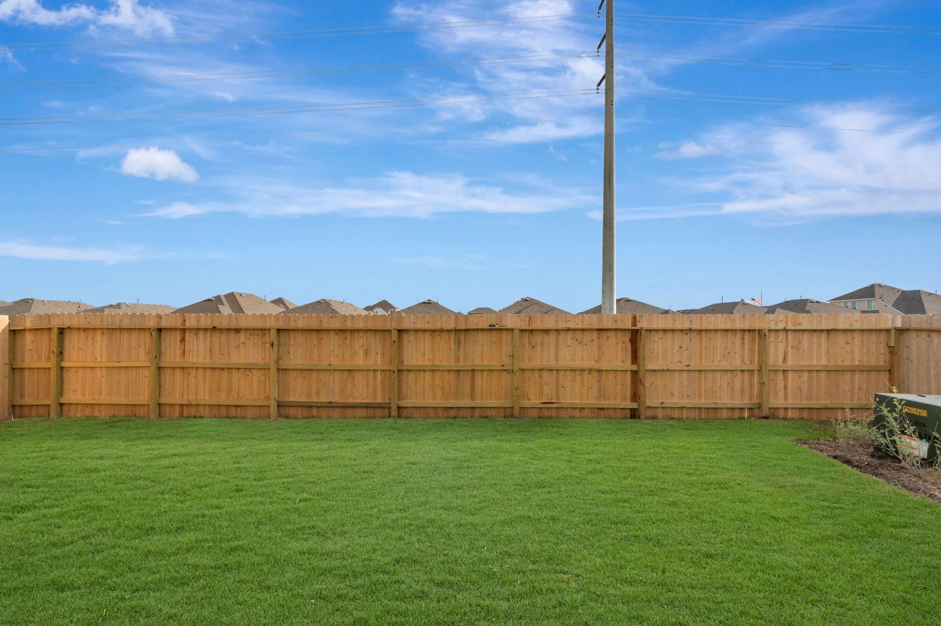 Backyard