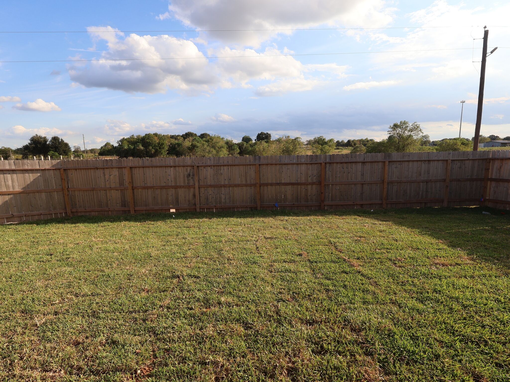 Backyard