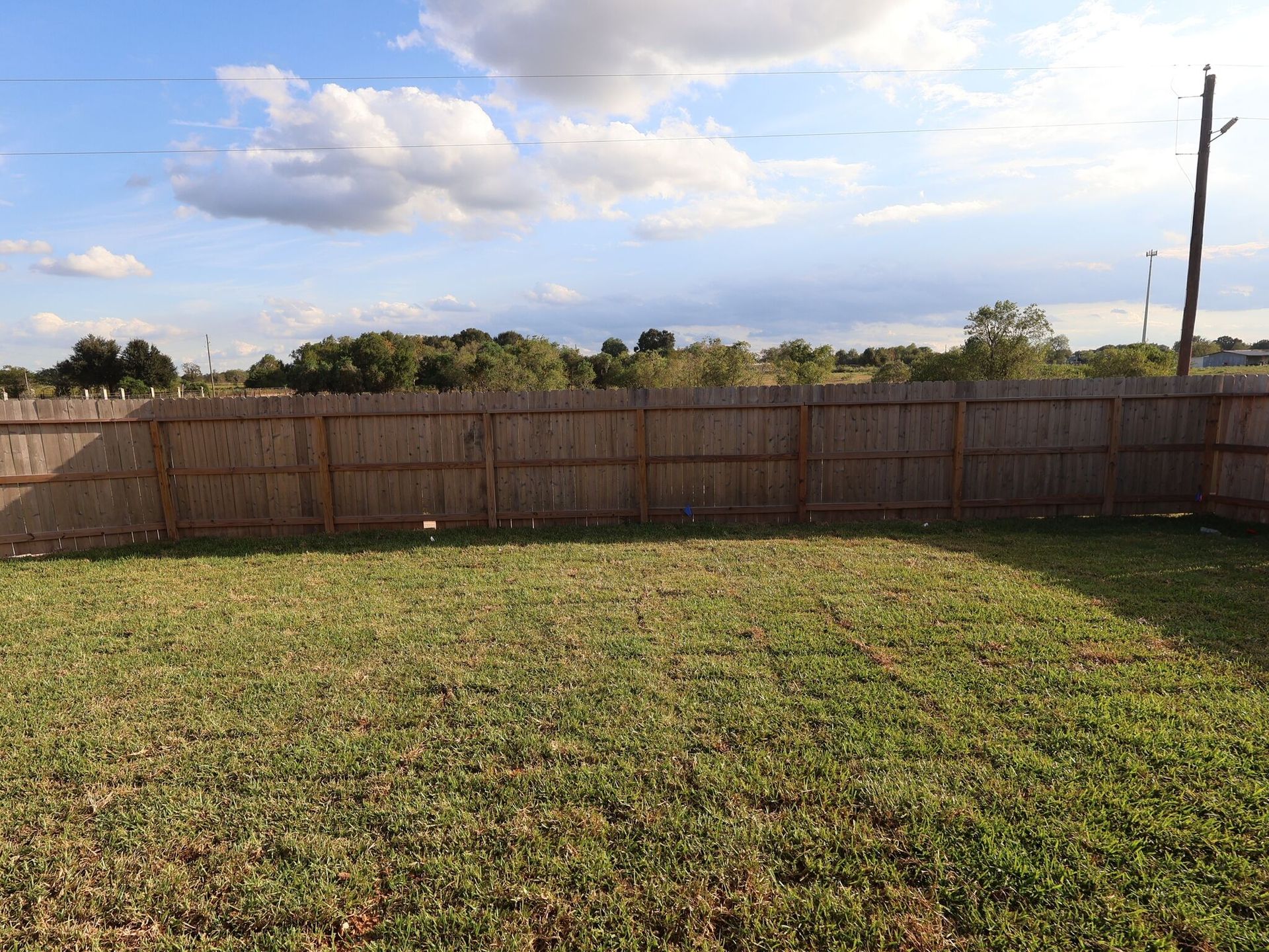 Backyard