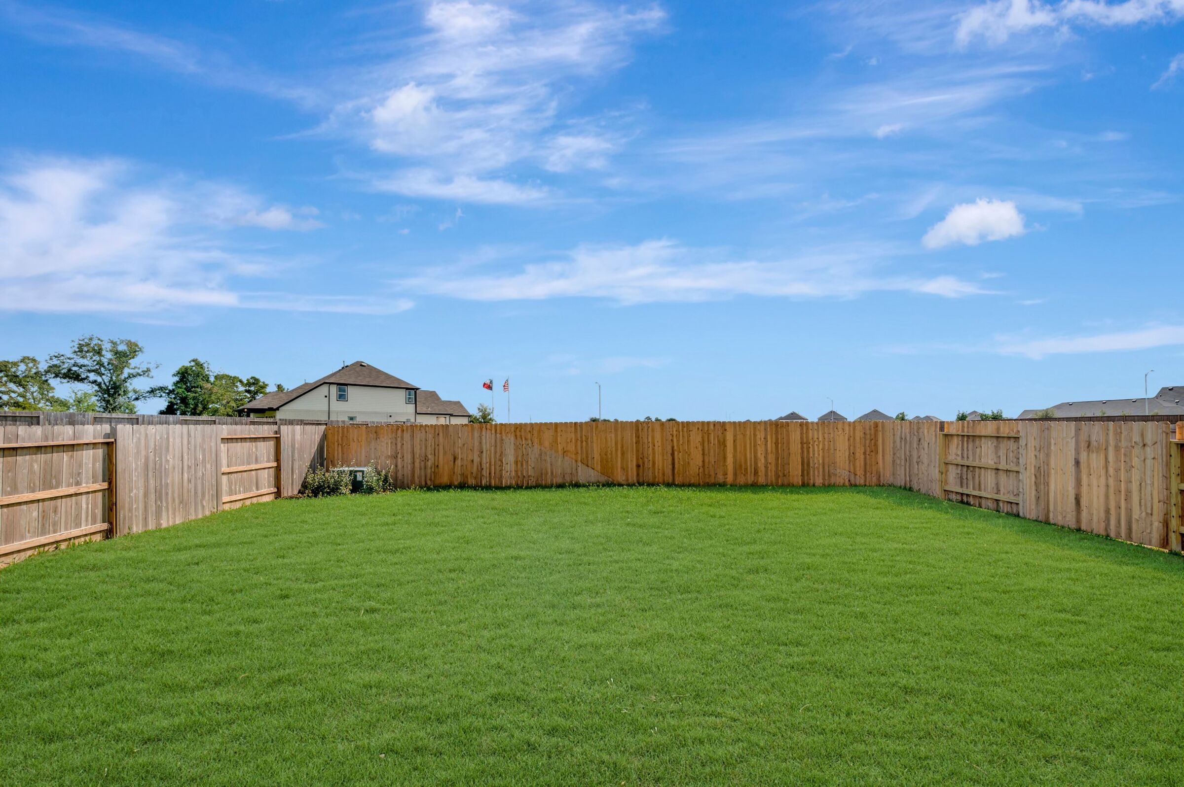 Backyard