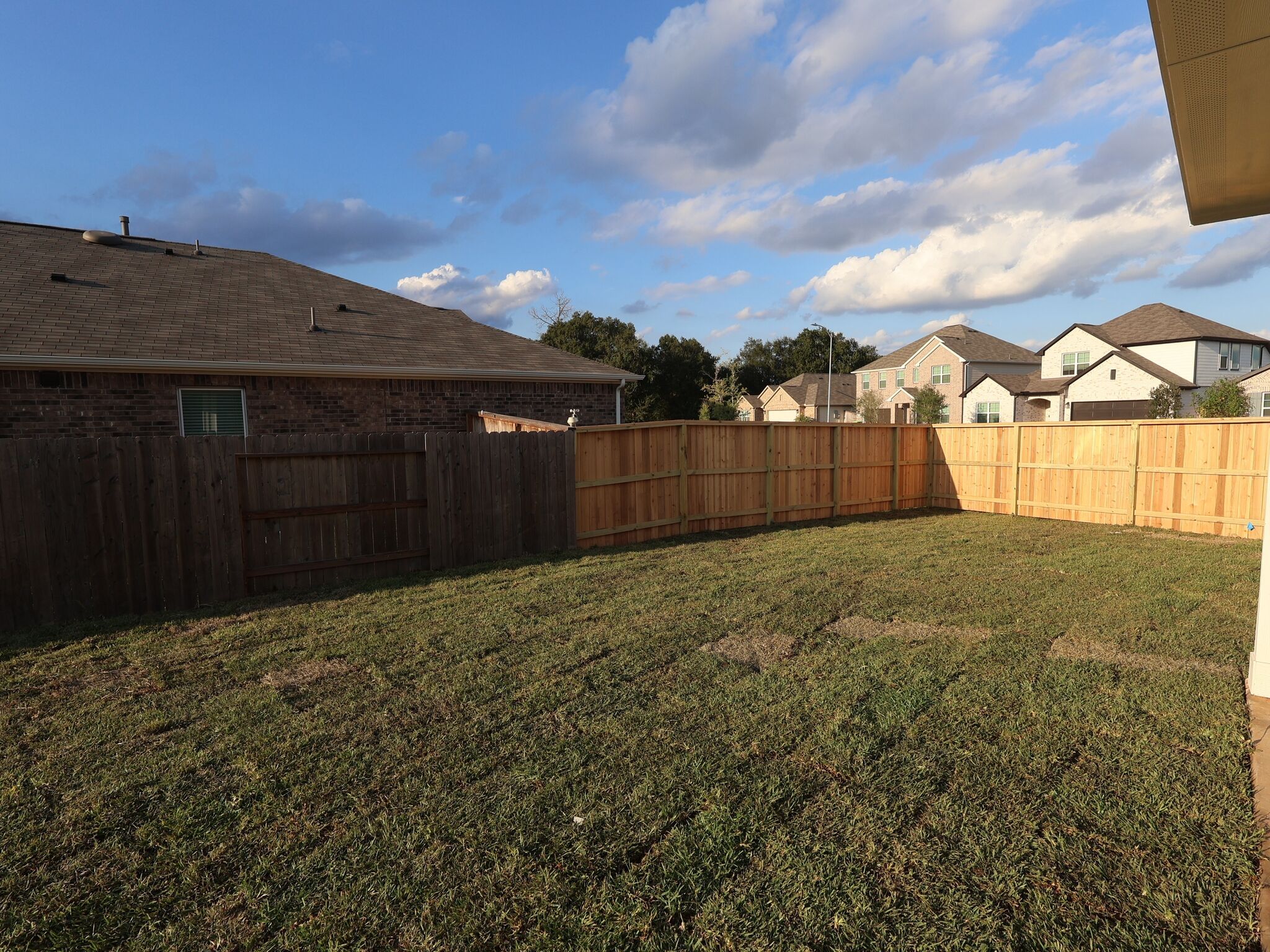 Backyard