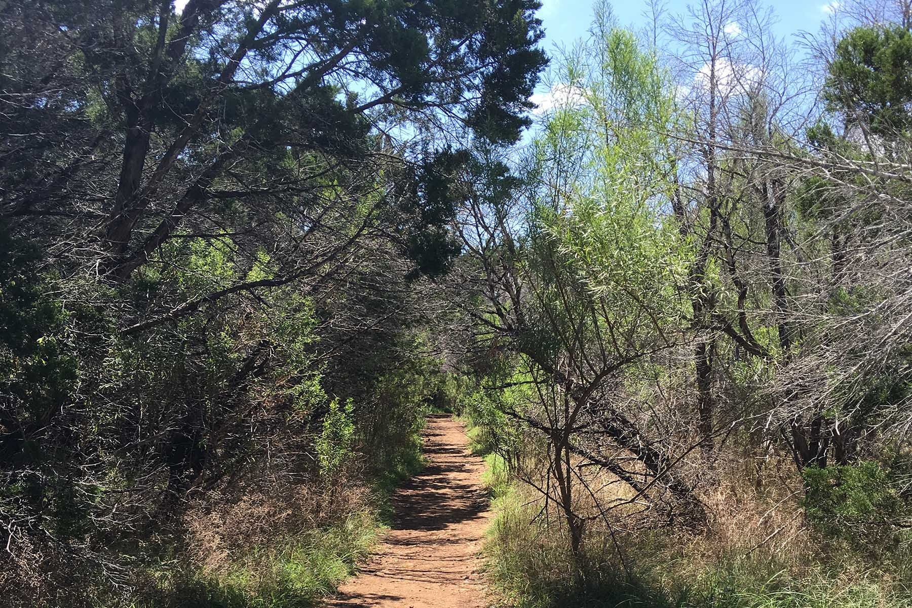 Georgetown Trails