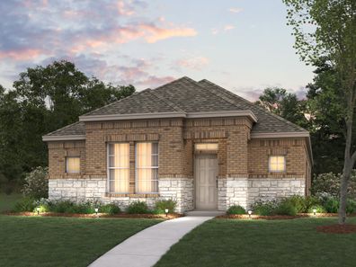 Begonia by M/I Homes in Dallas TX