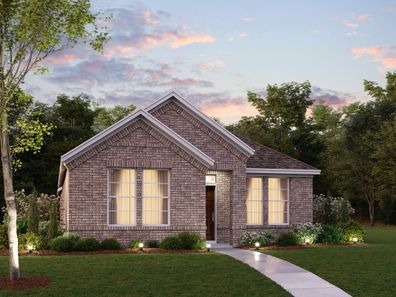Camellia by M/I Homes in Dallas TX