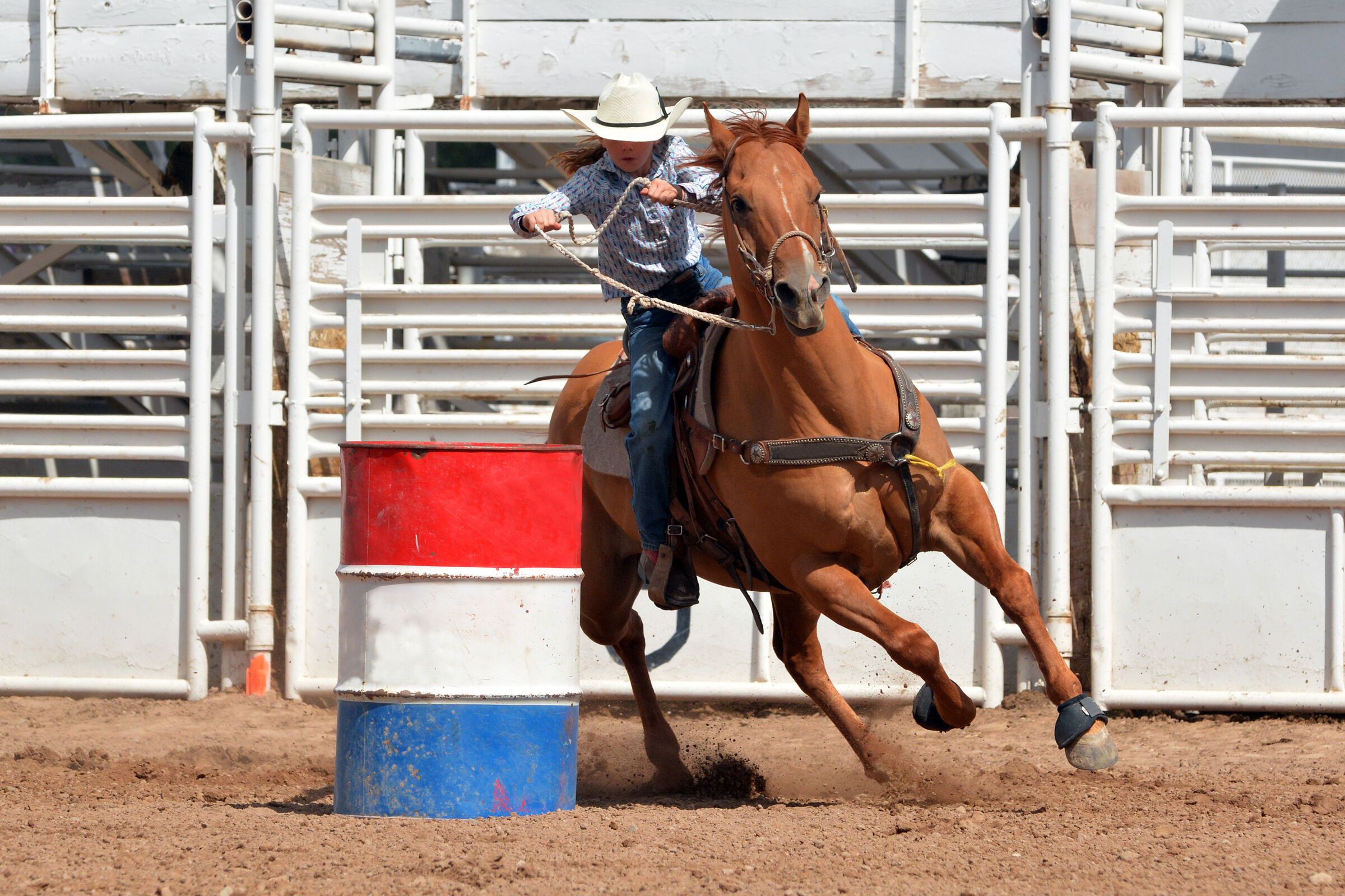 Mesquite Rodeo