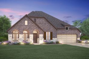 21002 Yellow Ipe Grove Court (Angelina)