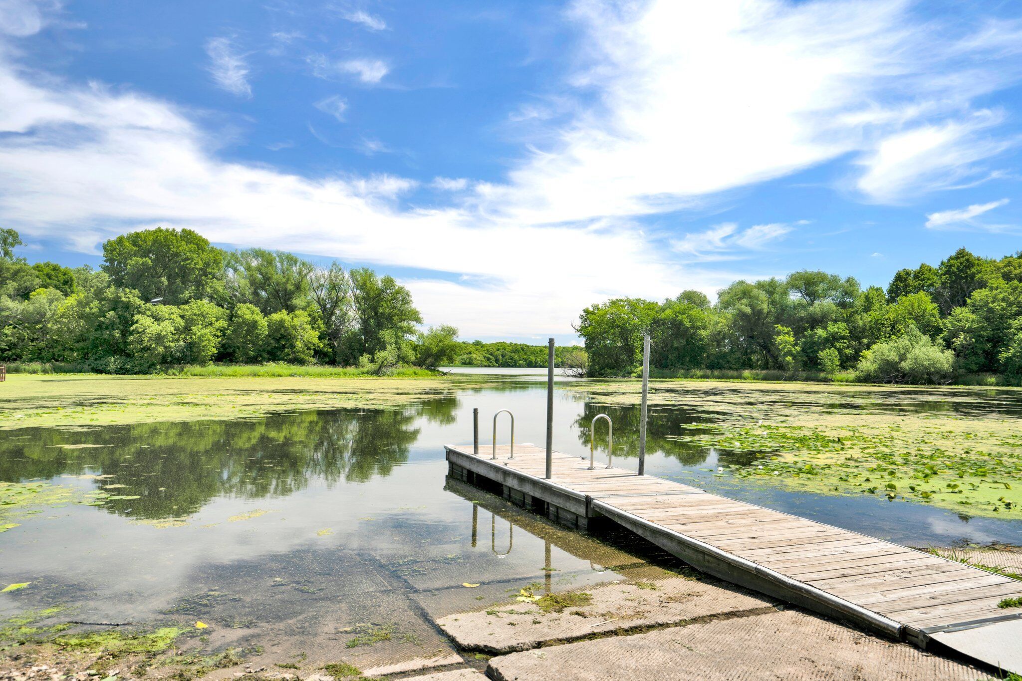 Surrounding Area - Lake Rebecca Park Reserve
