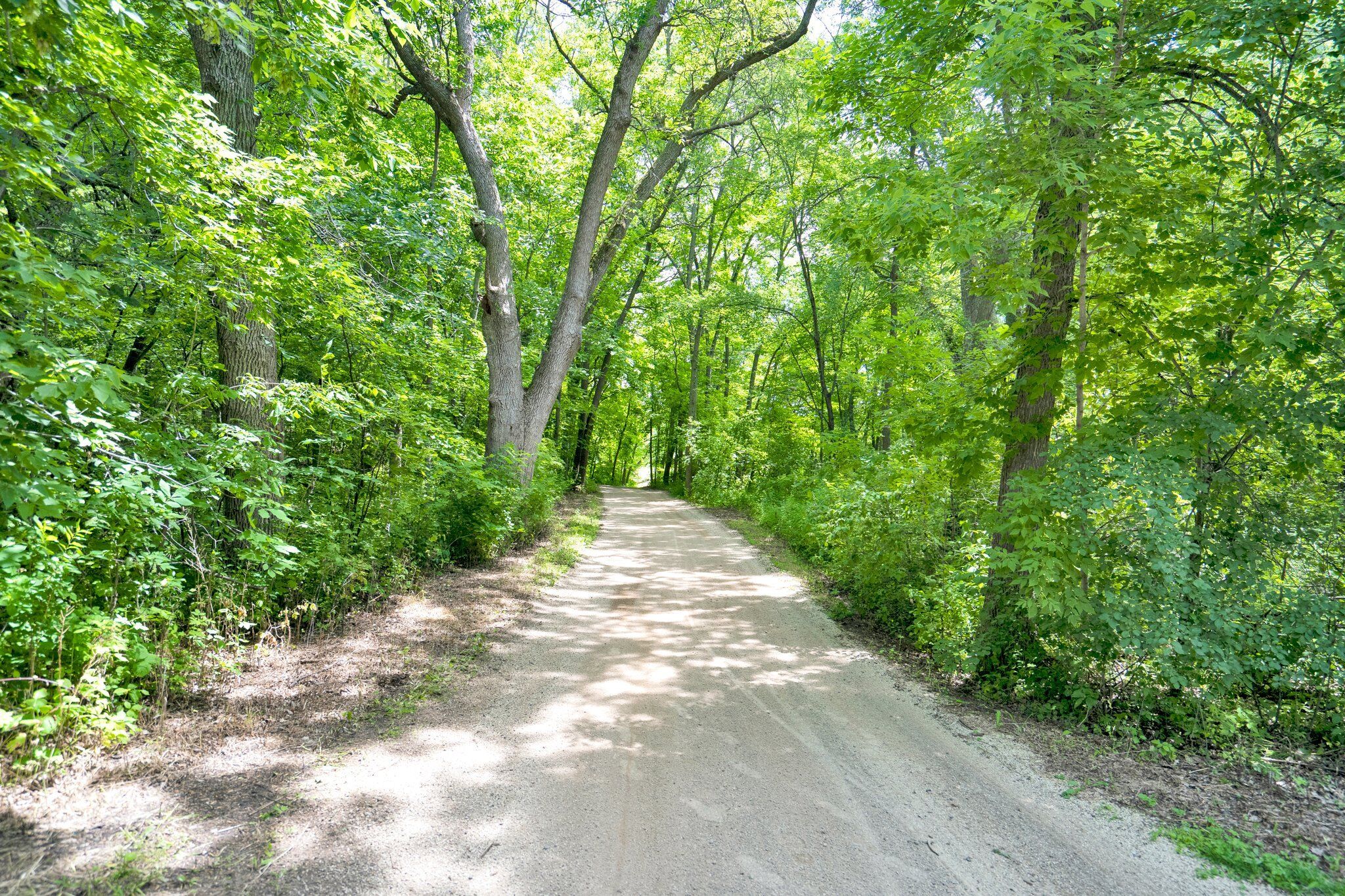 Surrounding Area - Lake Rebecca Park Reserve