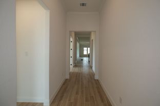 Nolan - Everly Estates: San Antonio, Texas - M/I Homes
