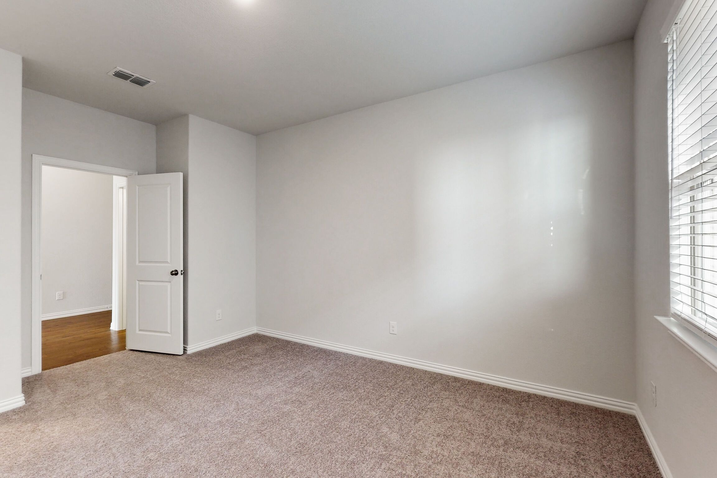 Study - Representational Photo