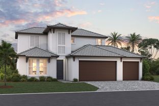Daintree - Cassata Lakes: Nokomis, Florida - M/I Homes
