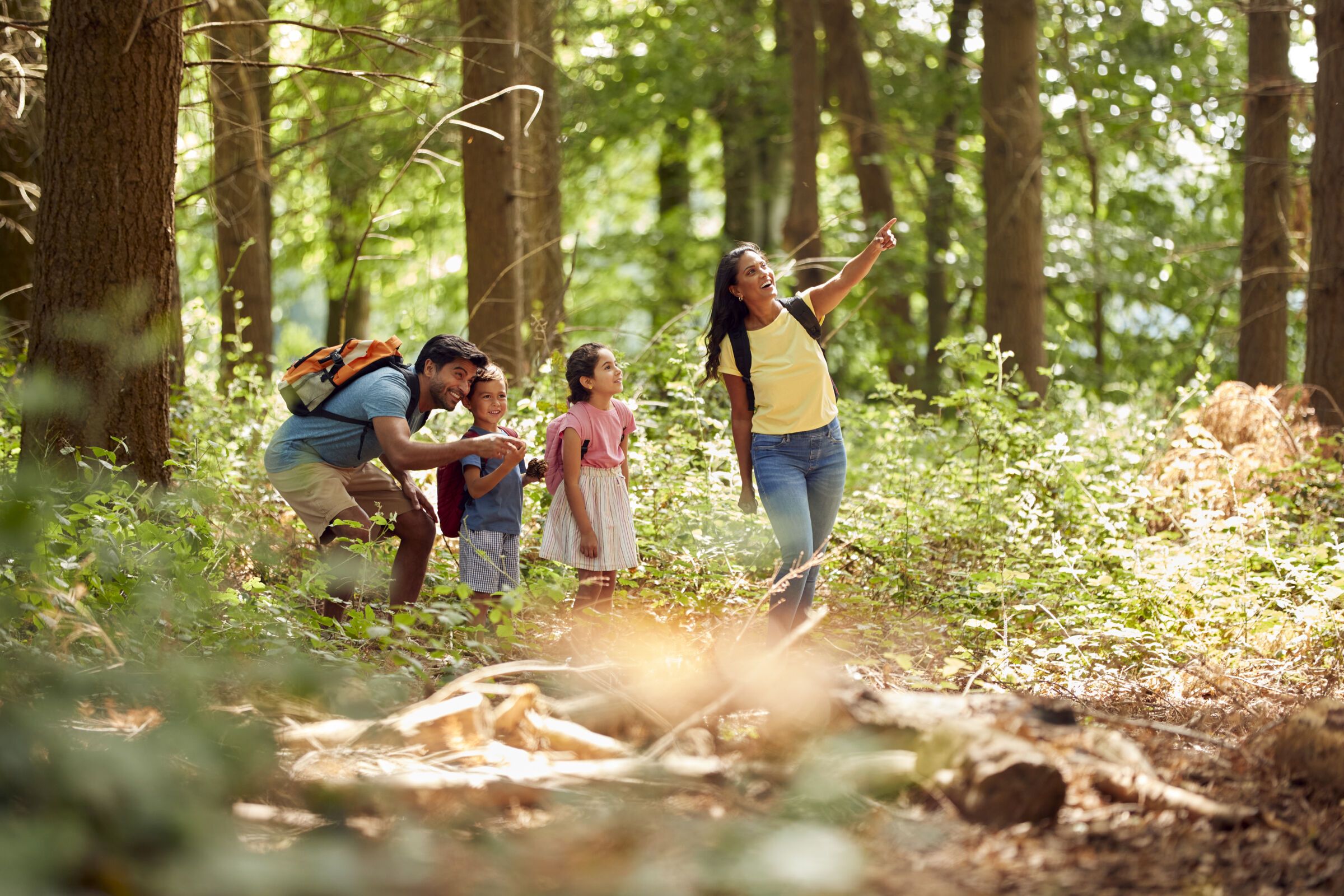 Family hiking in woods