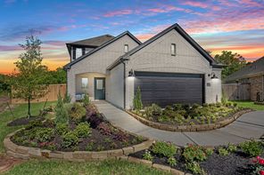 21238 Jacaranda Blossom Way (Rosemary)