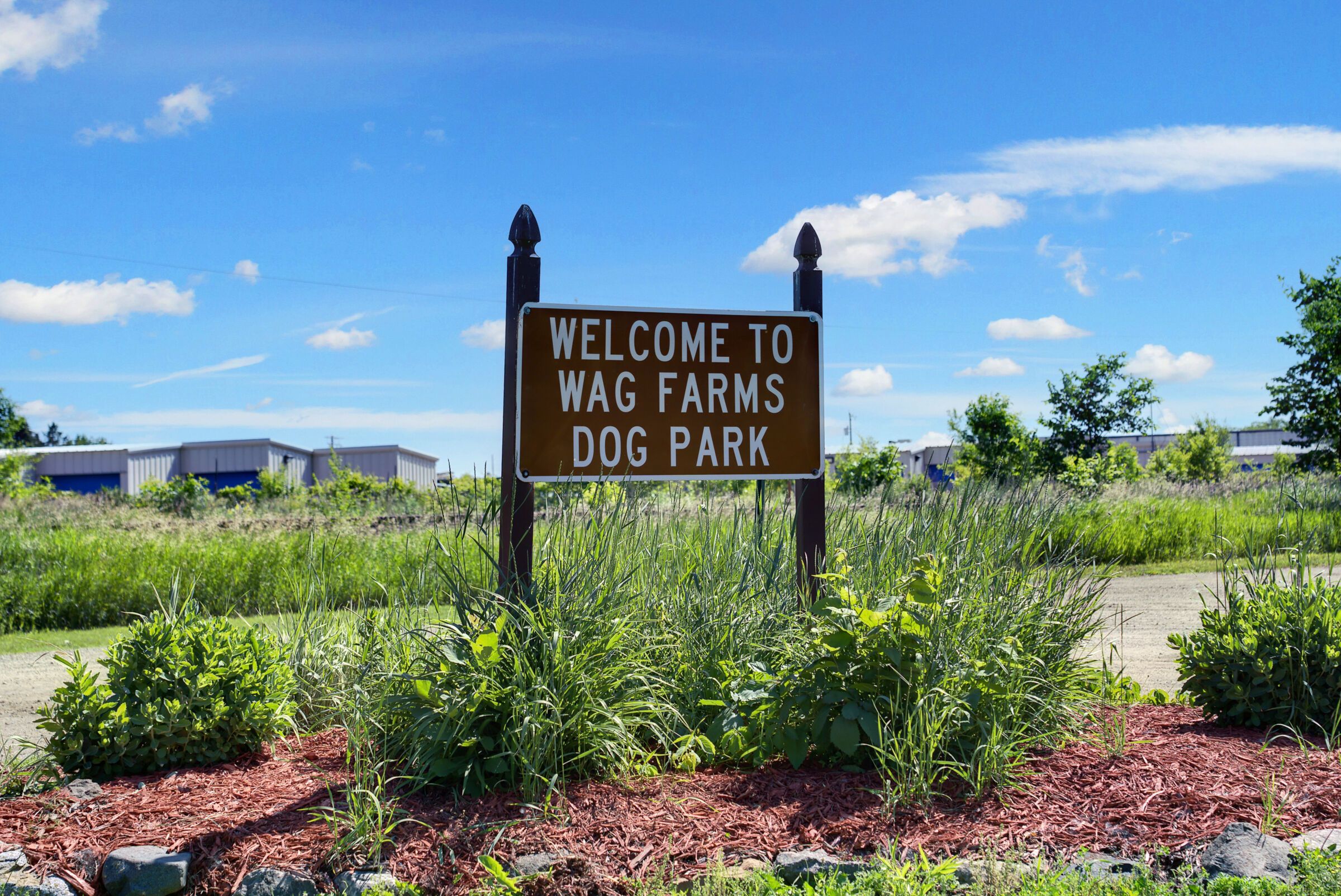 Surrounding Area - WAG Dog Park