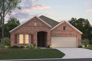 3529 Redbud Flower Trail (Esparanza)