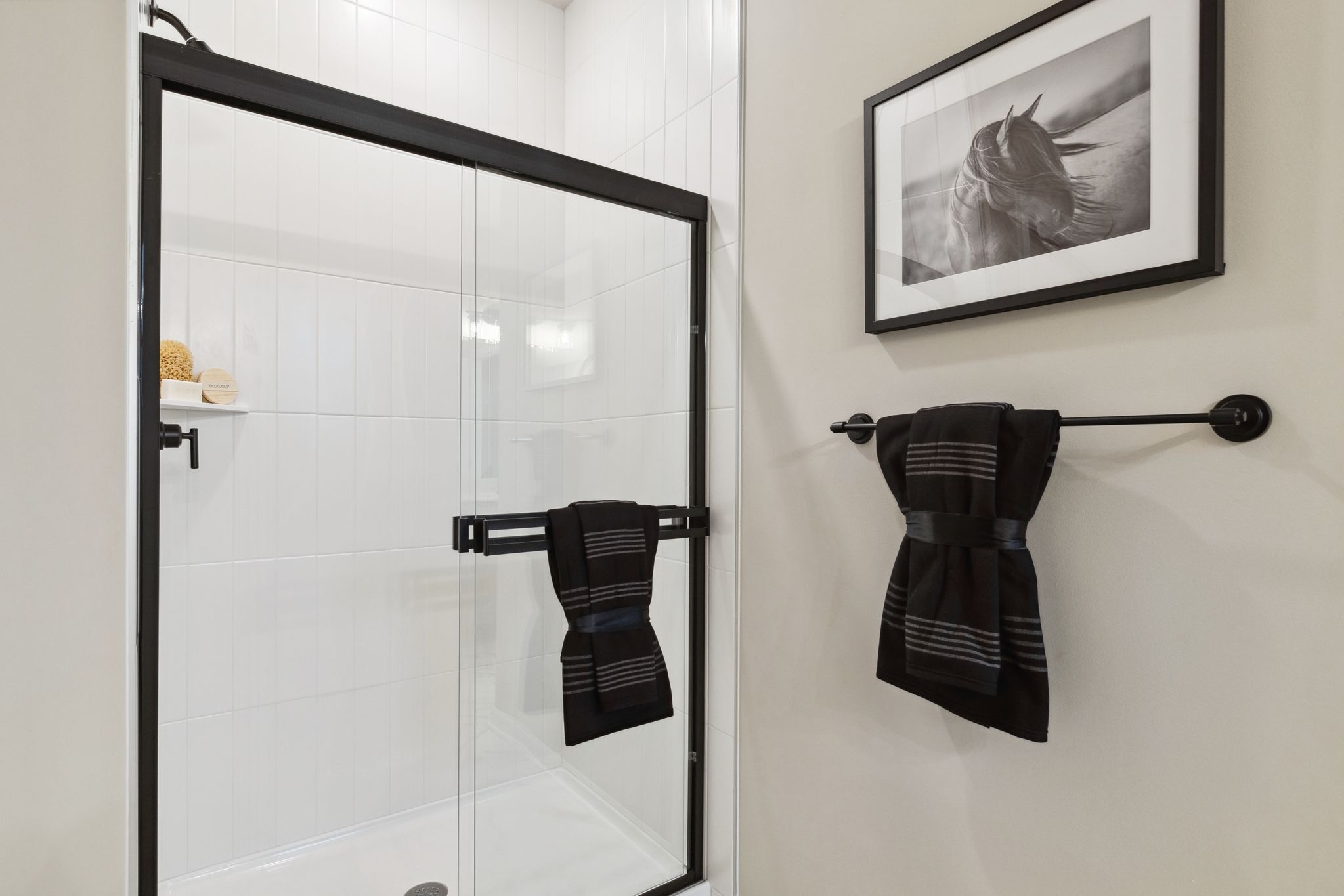 Owner's Bathroom