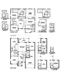 Madison - Hawkstone: Sarasota, Florida - M/I Homes