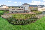Moran Ranch - Willis, TX