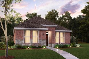 Camellia - Lilybrooke At Legacy Hills: Celina, Texas - M/I Homes