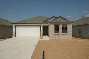 6243 Desert Aloe (Eastland)