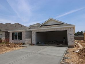 22660 Hackberry Leaf Drive (Pizarro)