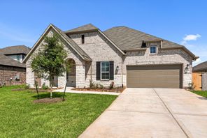 3010 Blue Abelia Street (Angelina)