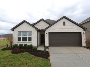 14126 Baikal Manor Drive (Freestone)