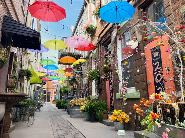 Downtown Howell - Alley District