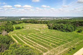 Cherrywood - Newport, MN