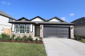 22676 Hackberry Leaf Drive (Freestone)