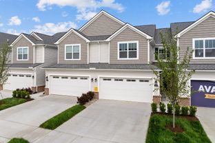Braeden - Andelina Farms: Saline, Michigan - M/I Homes