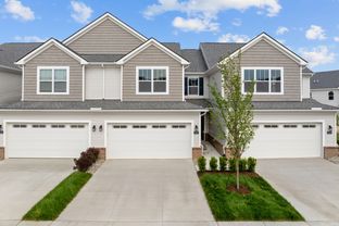 Braeden - Andelina Farms: Saline, Michigan - M/I Homes