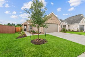 5815 Sunrise Bottom Lane (Primrose)