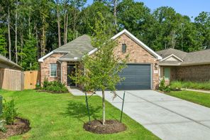 17174 Quaking Aspen Lane (Boxwood)