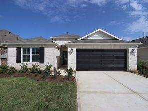 22660 Hackberry Leaf Drive (Pizarro)