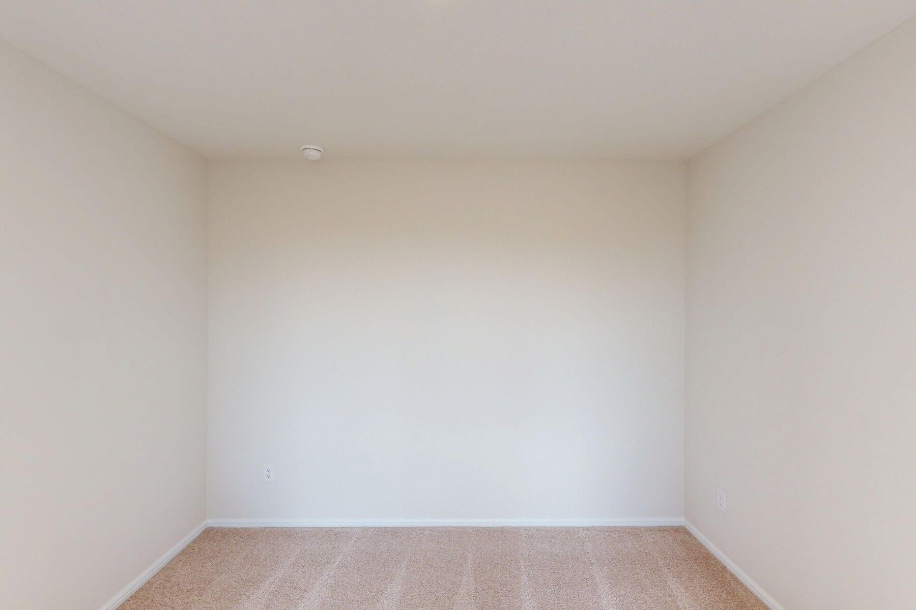 Study - Representational Photo