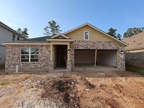 17106 Pinewood Branch Drive (Polo)